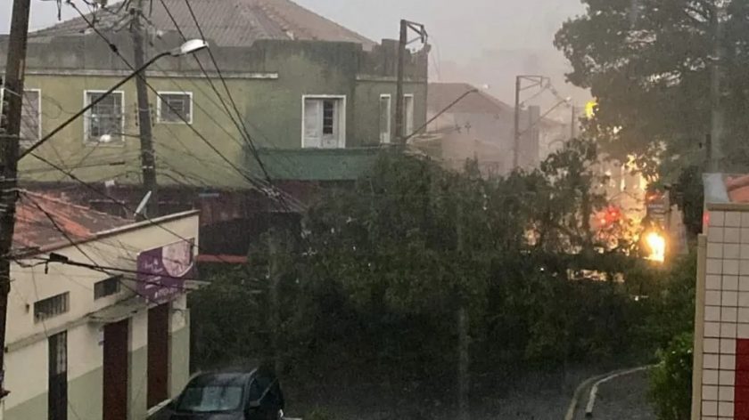 Temporal derruba árvores e causa destelhamentos em Ponta Grossa