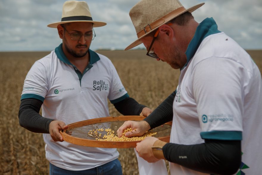 Rally Da Safra Retorna Ao Oeste Do Paran Para Avaliar Soja De Ciclo