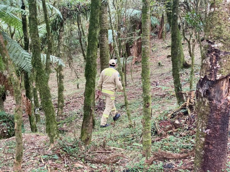 Bombeiros Fazem Buscas Por Adolescente Que Desapareceu Após Festa Em Guarapuava Diz Polícia